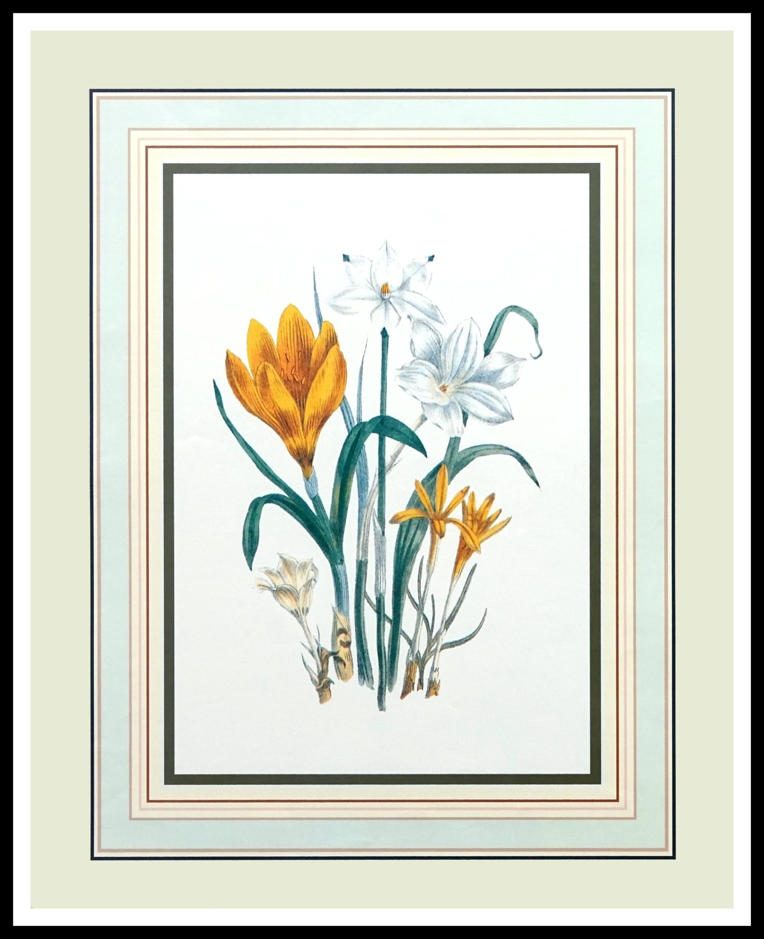 FR PN151 Floral Study I